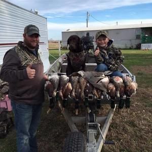 Meet your Posher, Joey